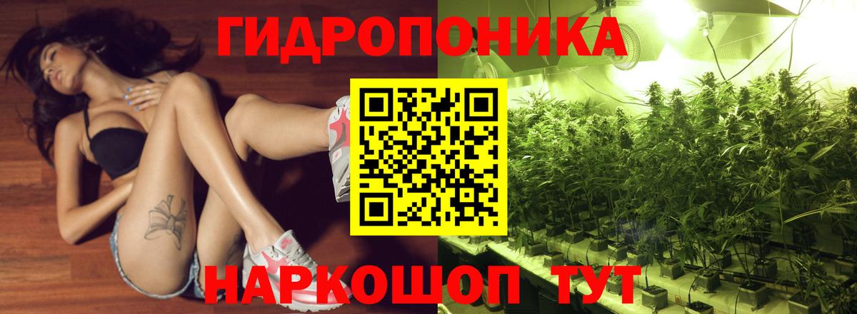 Бошки Шишки White Widow Абакан